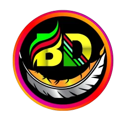 Symbol von BD NET VPN